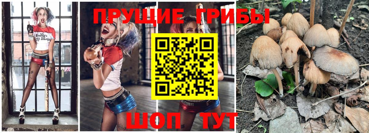 Галлюциногенные грибы Cubensis Еманжелинск